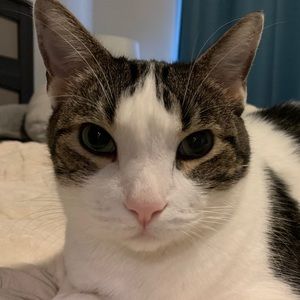 Meet your Posher, Margaret